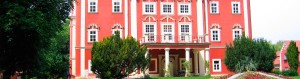cztransfer