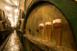 gambrinus