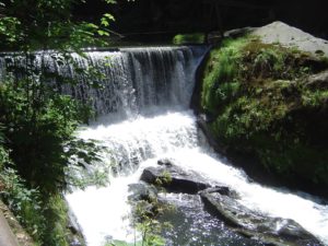 full_865ce5_f_normalFile46-2009_05_24_hrensko-85