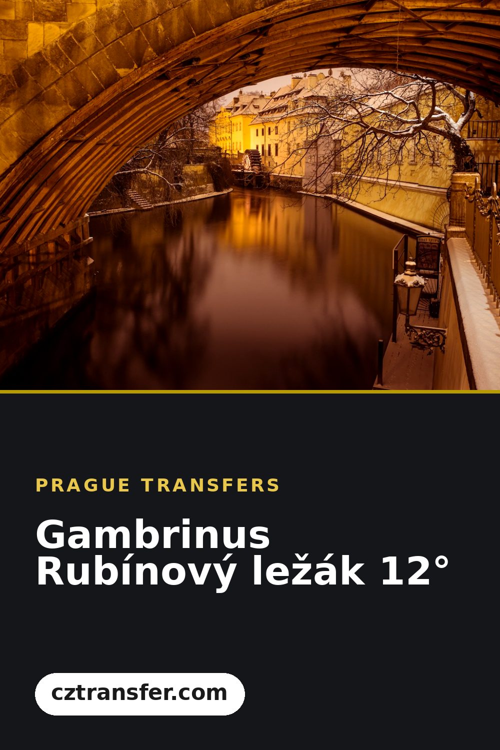 Gambrinus Rubínový ležák 12°