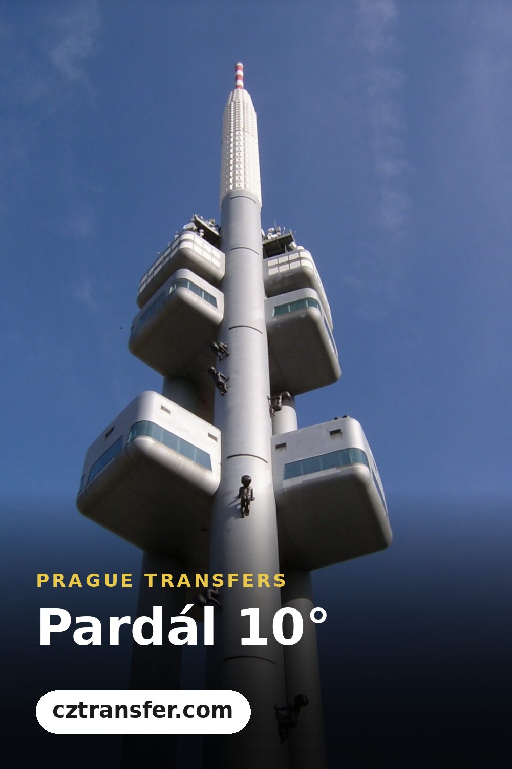 Pardál 10°