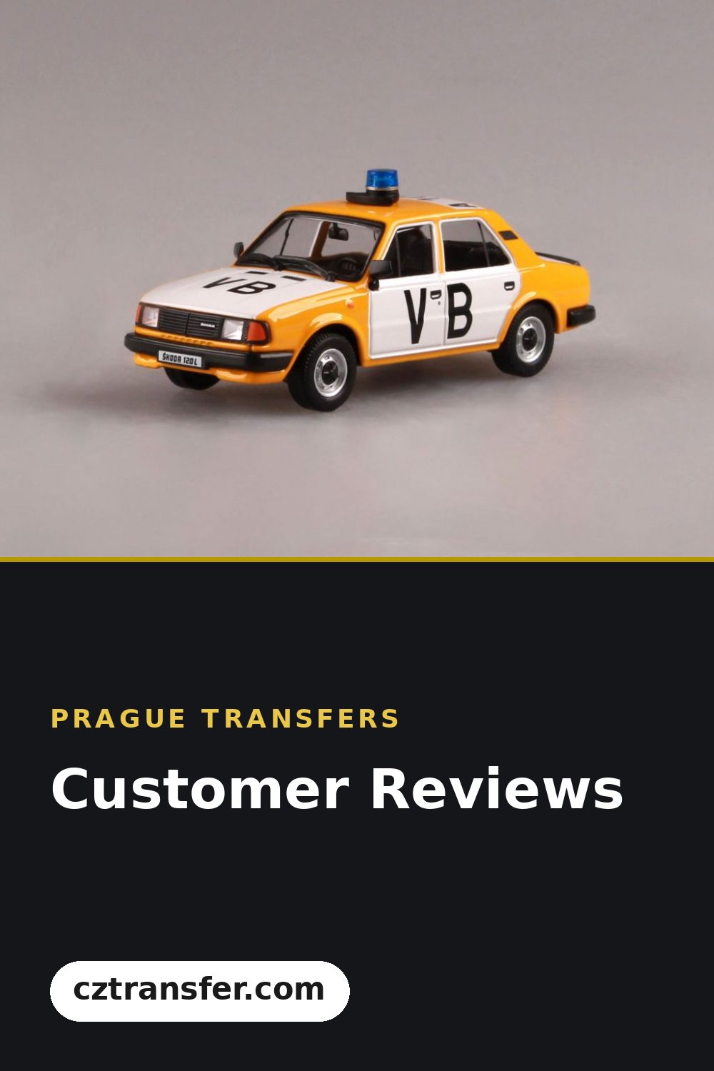Customer Reviews